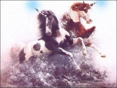 Il s'agit d'un/d'une :