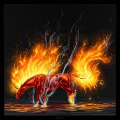 Il s'agit d'un/d'une :