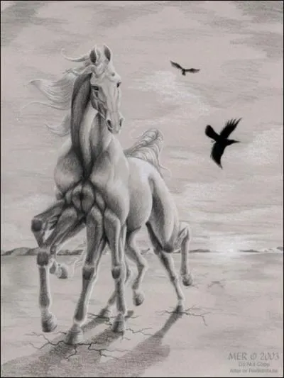 Il s'agit d'un/d'une :