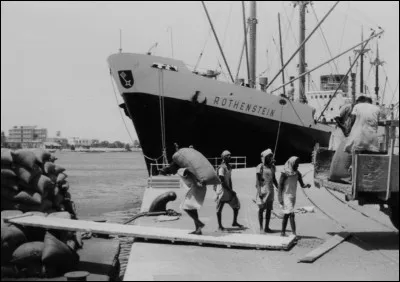 De quelle race est Bill, le célèbre chien de Boule ?
