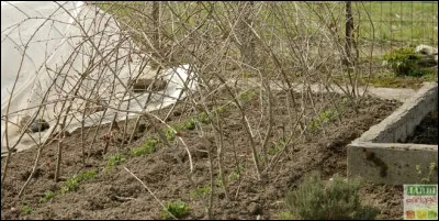 Comment appelle-t-on 500 feuilles de papier ?