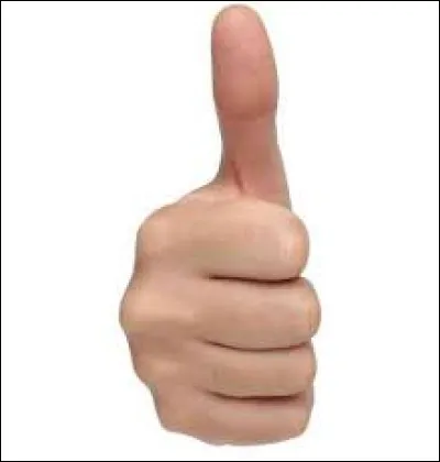 Combien a-t-on de doigts pour une main ?