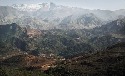 Quelle divinité, père des Hespérides, fut pétrifiée par la tête coupée de Méduse ?
Refusant l'hospitalité au héros Persée, il fut métamorphosé en une chaîne de montagnes s'étendant jusqu'aux frontières du monde connu alors, soutenant ainsi le ciel et le poids des astres.