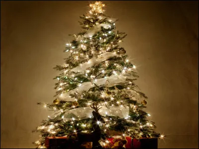 Complétez les paroles de cette chanson de Noël : 
"Mon beau sapin
Roi des forêts
Que j'aime ta verdure
Quand par l'hiver
...