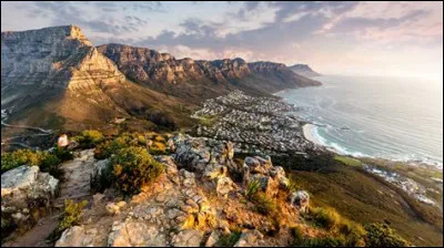 Lequel de ces animaux est l'emblème de ce pays ?