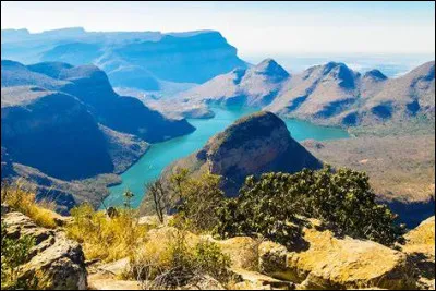 Combien de branches retrouve-t-on au sein de la South African National Defence Force (SANDF) ?