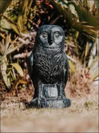 Quel est le nom que l'on donne au cri de la chouette ?