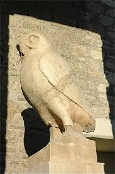 Dans la mythologie grecque, la chouette chevêche représente ou accompagne la déesse Athéna.
