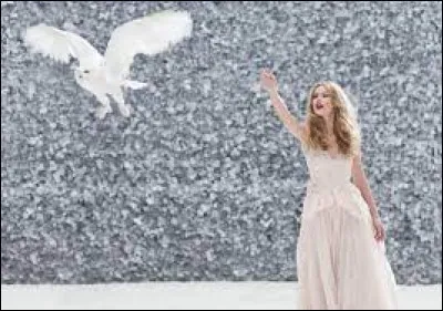 Quelle marque de parfum a utilisé une chouette blanche dans sa publicité dans les années 2010 ?