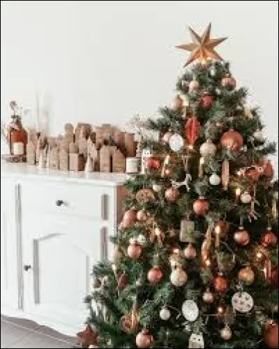 Passons maintenant à ''Mon beau sapin'' ! 

''Mon beau sapin, roi des forêts
Que j'aime __ _______
Mon beau sapin, roi des forêts
Que j'aime ta verdure
Quand par l'hiver, bois et guérets
Sont dépouillés de leurs attraits
Mon beau sapin, roi des forêts, 
Tu gardes ta ______.