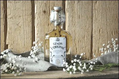 Et pour digérer, une petite liqueur de genépi "maison" vous est offerte. Quelle est la recette consacrée, (bien que la maîtresse de maison préfère la modifier) ?
On se sert de marc ou d'alcool pour fruits.