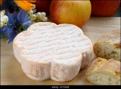 Goûtons celui-ci, divinement crémeux et beaucoup, plus doux !