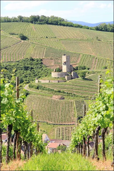 Quel est ce château ? 
Niveau : modéré