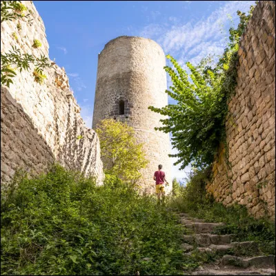 Quel est ce château ?
Niveau : difficile/modéré