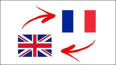 Quelle est la bonne traduction du mot ''tortue'' terrestre en anglais ?