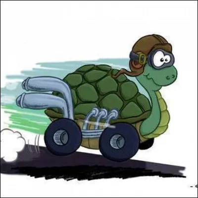 Quel est le nom de la tortue dans la BD ''Boule et Bill'' ?