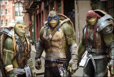 Quel nom n'est PAS celui d'une des ''Tortues Ninja''dans le comics homonyme ?