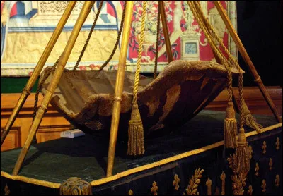 Quel roi de France aurait eu cette carapace de tortue en guise de berceau ?