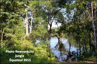 Quelle est cette réserve en C, une forêt tropicale humide, zone de protection faunistique protégée en Équateur ?