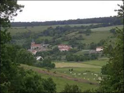 Village Meusien, Réville-aux-Bois se situe en région ...