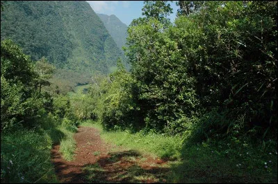 À quelle fréquence fais-tu de la randonnée ?