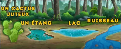 Tu marches dans la forêt et tu nas plus deau. Tu peux en obtenir dune des trois sources :