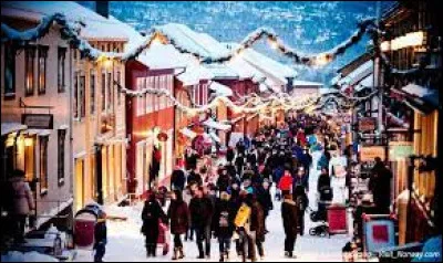 Dans ce pays, quel jour se fête le ''Lille Julaften'' (''Petite veillée de Noël'' en français) qui consiste à se réunir en famille pour fabriquer une maison en pain d'épices et la déguster une fois arrivés à la fin des fêtes ?