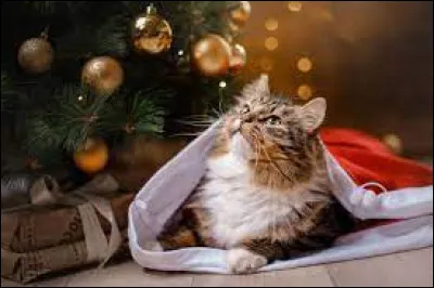 Monsieur et madame Enfant ont deux filles. Comment s'appellent-elles ?