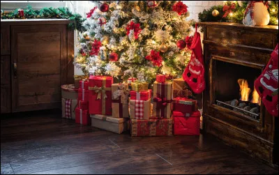 Pour répondre à cette question, trouve le nom de l'endroit sous lequel le père Noël dépose les cadeaux !