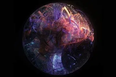 Quel membre a une personnalité dite "4D" ?