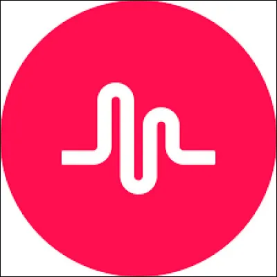 De quel réseau social actuel Musical.ly était-il l'ancien nom ?