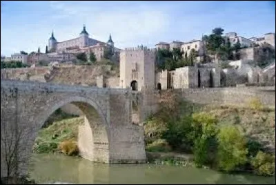 Ildefonse, prénom de la même famille en Espagne, est un saint du VIIe siècle. De quelle ville a-t-il été l'archevêque vers 657 ?