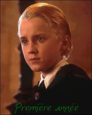 Comment s'appellent les deux 'amis' de Drago Malefoy ? ( ici en photo )