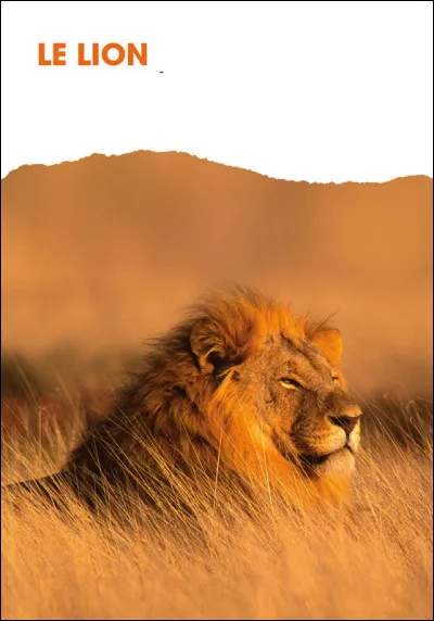 Art : Qui a écrit le livre "Le Lion" en 1958 ?