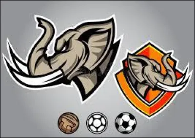 Sport : Quel pays a une &eacute;quipe nationale de football surnomm&eacute;e "Les &Eacute;l&eacute;phants" ?