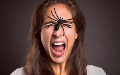 Quand quelqu'un a peur des araignées, il est...