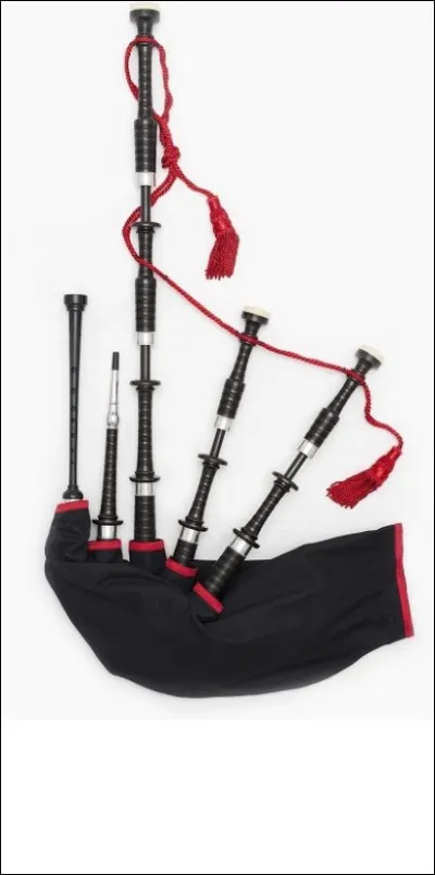 Quel est le nom de cet instrument à vent ?