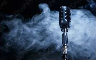 Quel chanteur a interprété "Vendeur de larmes", "Le chanteur" et a incarné Johnny Rockford dans Starmania ?