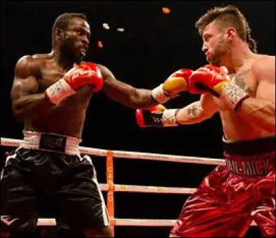 Lequel de ces boxeurs n'a connu aucune défaite durant sa carrière professionnelle ?