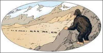 Dans quel album Tintin rencontre-t-il l'abominable homme des neiges ?