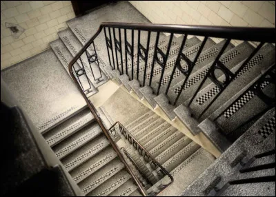 Finalement tu décides de fuir. Tu sors par la porte entrouverte et descends les escaliers. En descendant les marches tu entends un cri "aaaaaahhhh ! ! ! !".
Que fais-tu ?