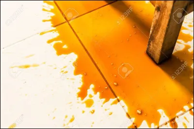 Gourmand(e) comme tu es, tu as voulu voler le beignet mais tu renverses une tasse de café sur la table. Puis la tasse tombe par terre et se casse. En entendant le bruit le policier arrive. Tu tentes de t'échapper mais tu glisses sur le café et tombes de la table. Tu atterris sur tes pattes mais tu marches sur les morceaux de la tasse brisée et te blesses. Tu sautilles partout et le policier te remarque.