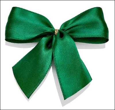 Puis un autre policier arrive et dit "mets-lui un ruban vert. Je crois que c'est un mâle/une femelle !".
 Puis le policier stupide te met en ruban vert autour du cou et dit "boss, je pourrais l'emmener en mission avec nous ? !". Et le patron répond "tu es fou ! C'est une blague j'espère ? !". Puis le policier stupide commence à lui faire les yeux doux... le patron dit "bon ok. S'il veut venir...".