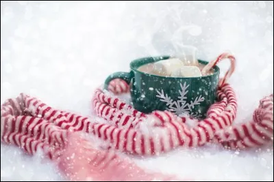 Quand elles arrivent à la patinoire, elles attendent dans la file d'attente pour payer avant de mettre les patins et y aller. Elles aperçoivent soudain quelqu'un qui patine super bien... C'est Hermione717 ! Hermione717 se rapproche pour dire bonjour aux deux filles. 
- Bonjour ! Je crois que je vous connais de quelque part... Dit Hermione717
- Moi aussi, c'est bizarre ! Dit Deplus. 
BrumeDeLunard réfléchit, et dit : 
- Mais oui, bien sûr, c'est de Quizz.biz ! 
- Oh, incroyable ! S'exclama Deplus. 
- Dites, une fois qu'on aura fini de s'amuser à la patinoire, ça vous dit un chocolat chaud ? demanda Hermione. 
- Bien sûr ! Dit BrumeDeLunard. 
Après la patinoire, elles partirent alors au café toutes les trois. Hermione717 se rappelle avoir goûté un chocolat chaud qu'elle avait adoré une fois, mais ne se rappelle plus le nom ! Elle se rappelle juste que c'était un chocolat chaud classique, avec de la chantilly sur le dessus. Pouvez-vous l'aider ?