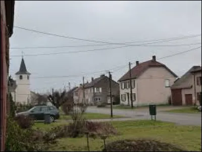 Village inclus dans le parc naturel régional de Lorraine, dans le Pays de Sarrebourg et dans le pays des étangs, Languimberg se situe dans le département ...