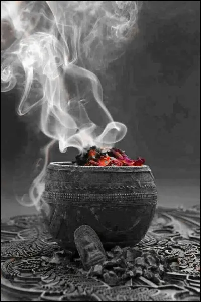 Je vous demande quatre ingrédients de la potion magique réalisée par le druide Panoramix, dans les albums d'Astérix :