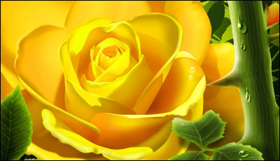 Avoir la xanthophobie, c'est...