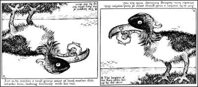 On s'amuse et l'on invente beaucoup aussi aux USA : ainsi, ces ''comic strips en palindromes'' du néerlandais Gustav Verbeck paraissent dans le ''New York Herald'' dès ...