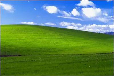 Finalement tu n'as trouvé ni archives, ni plaisir coupable dans cette librairie. Si ce n'est une heure perdue, le nez dans les bouquins.
Quelque peu déçu, tu ne te démontes pourtant pas et te diriges maintenant vers les jardins !