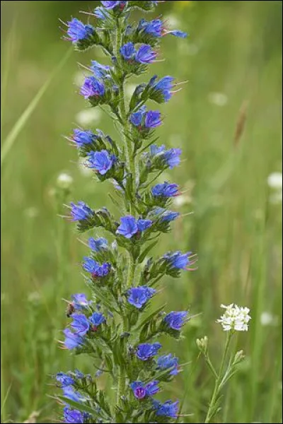 Pour NiKola&iuml; Lebedev, en 1997, comment est la source ?
